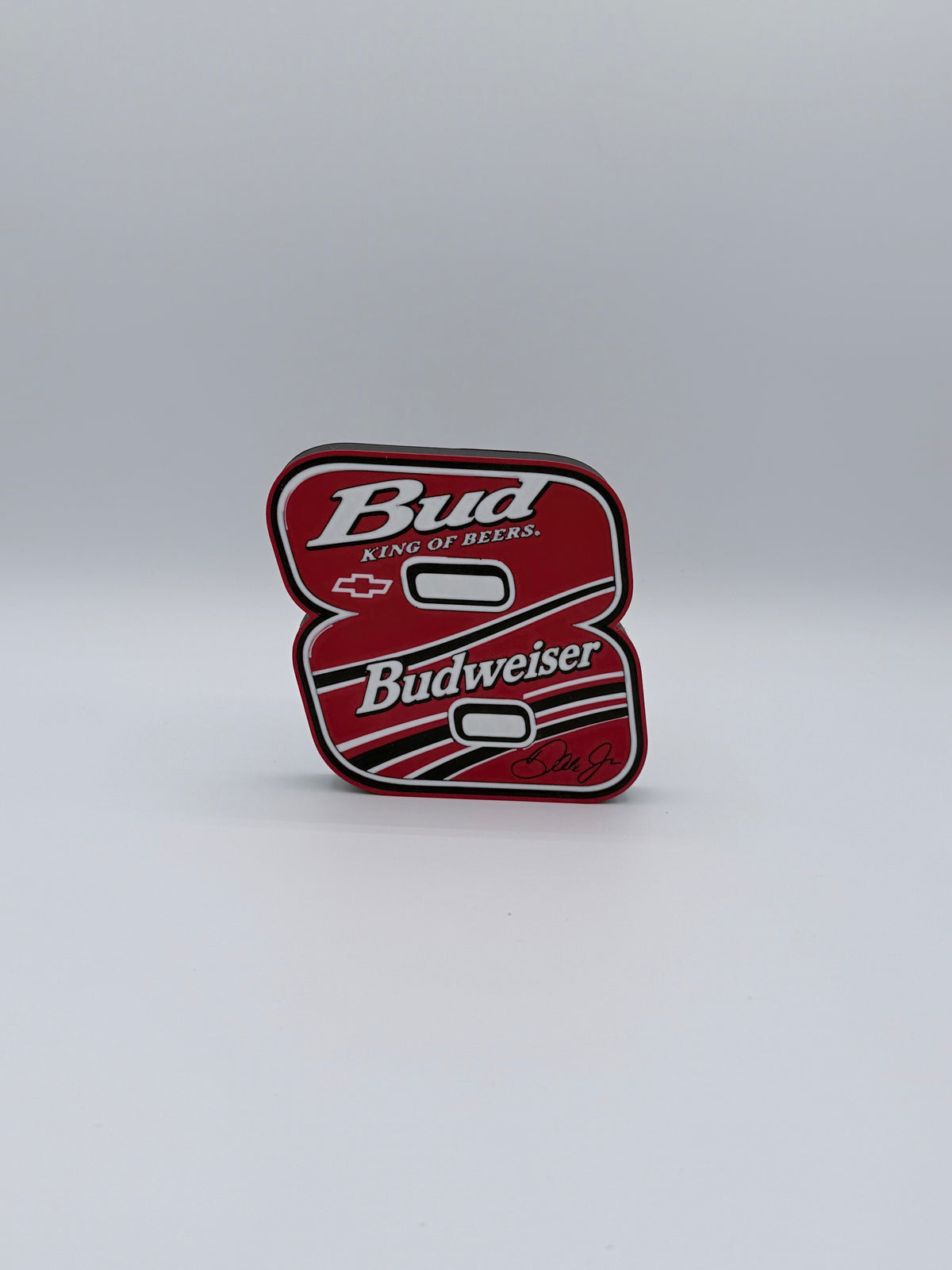 Dale Earnhardt Jr